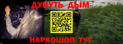 PSILOCYBIN Заволжье