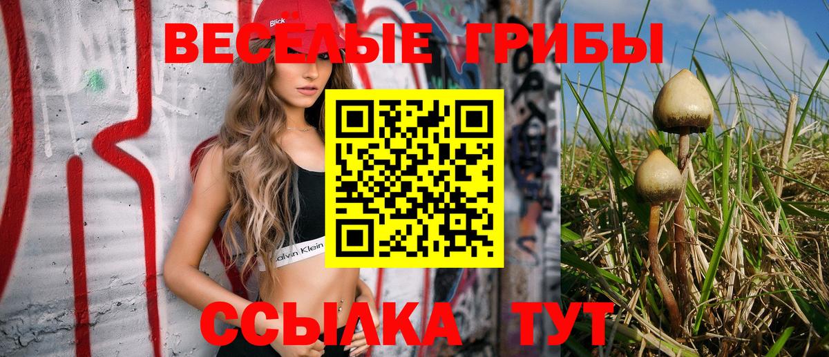 Галлюциногенные грибы мухоморы  Вход с VPN  Кумертау 